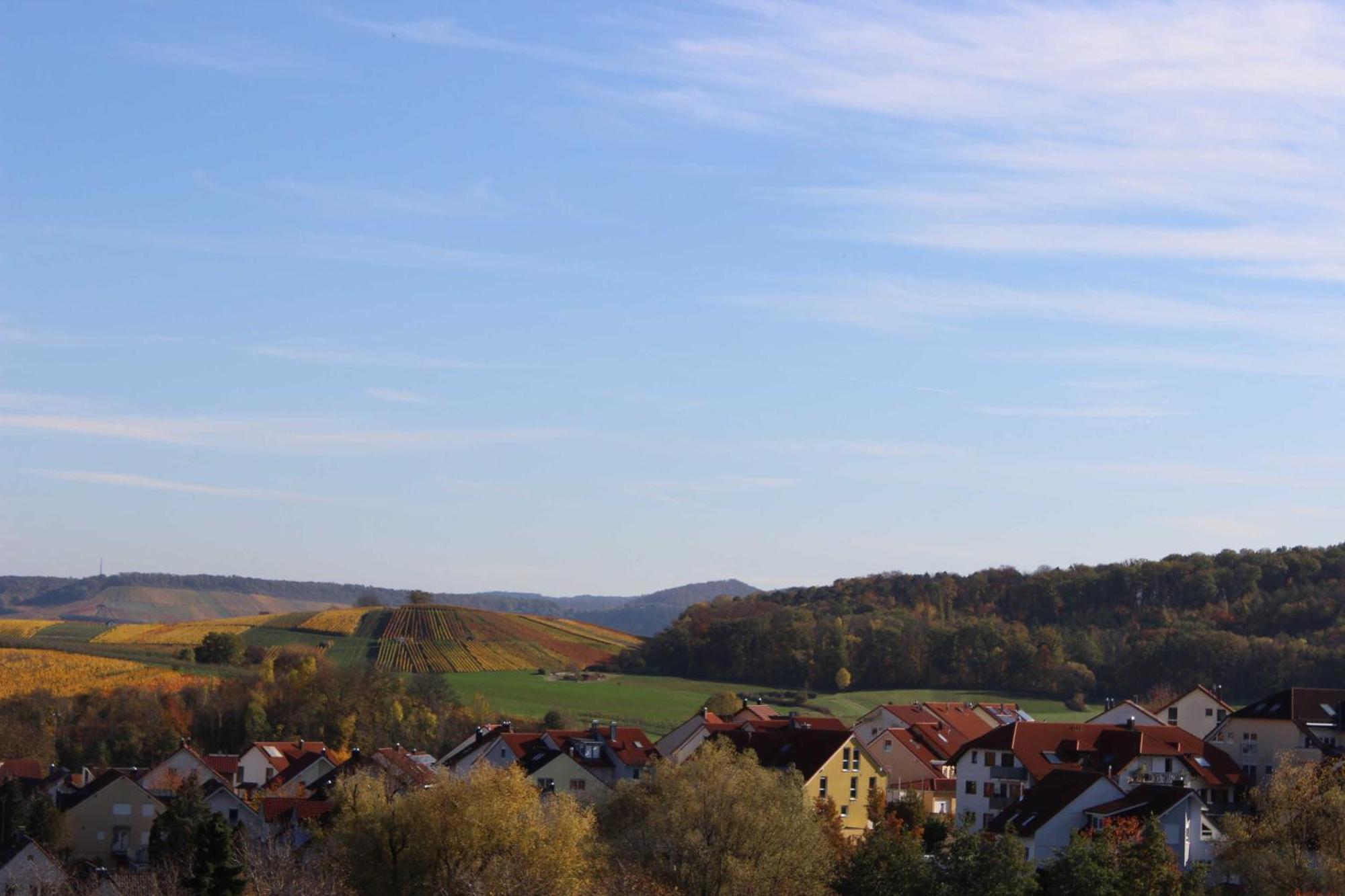Gaestehaus Zum Wolffenturm Lehrensteinsfeld 객실 사진