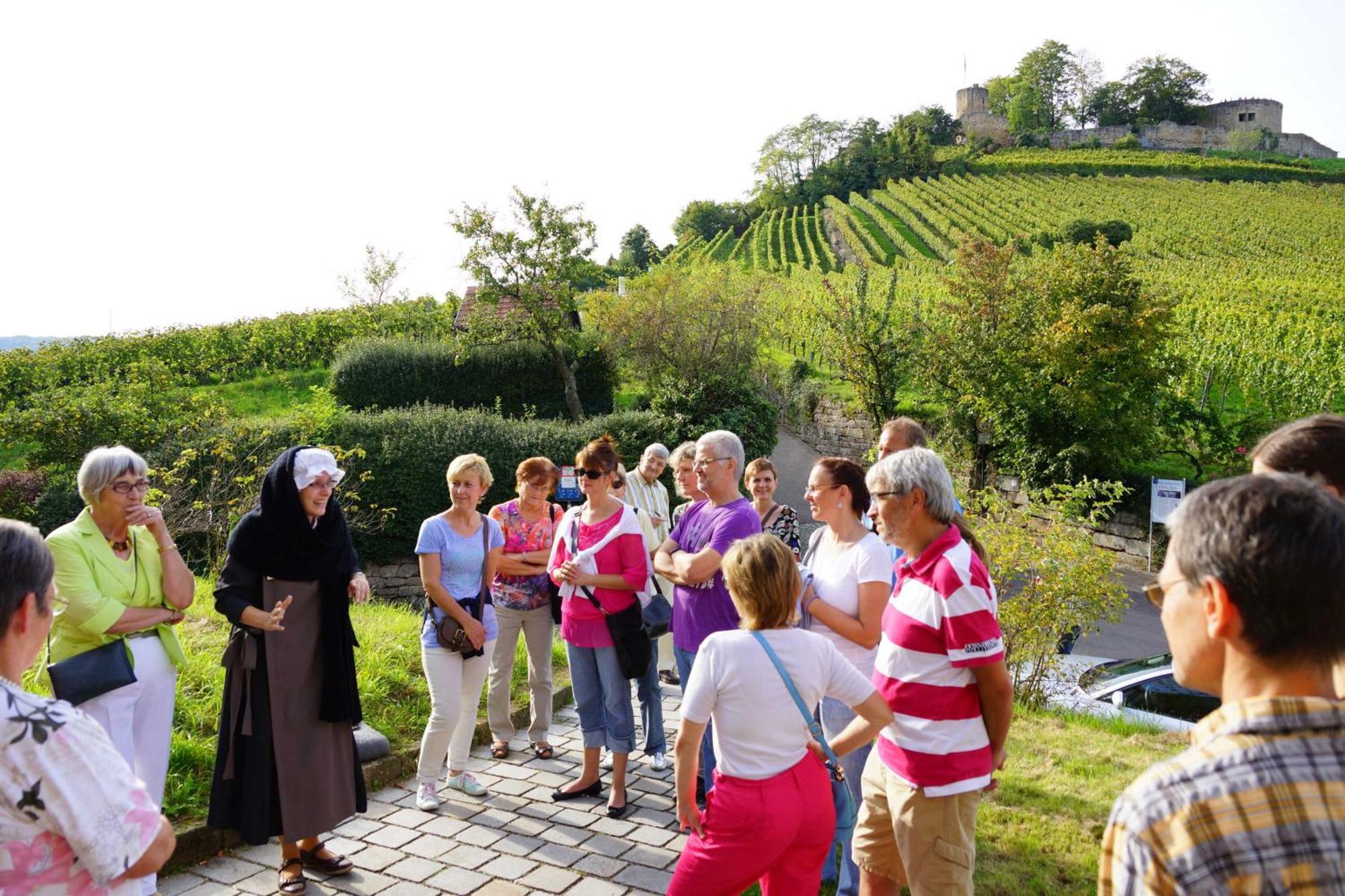 Gaestehaus Zum Wolffenturm Lehrensteinsfeld 외부 사진