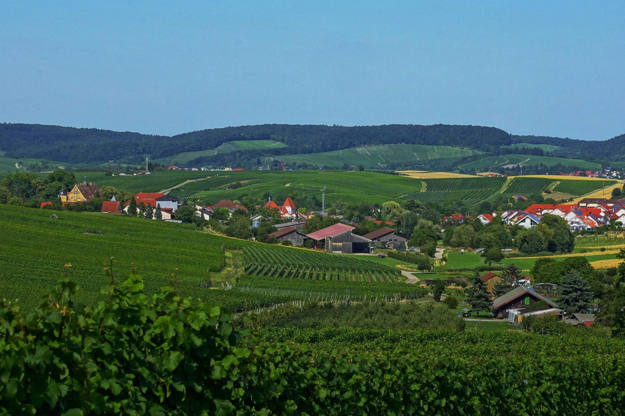 Gaestehaus Zum Wolffenturm Lehrensteinsfeld 외부 사진