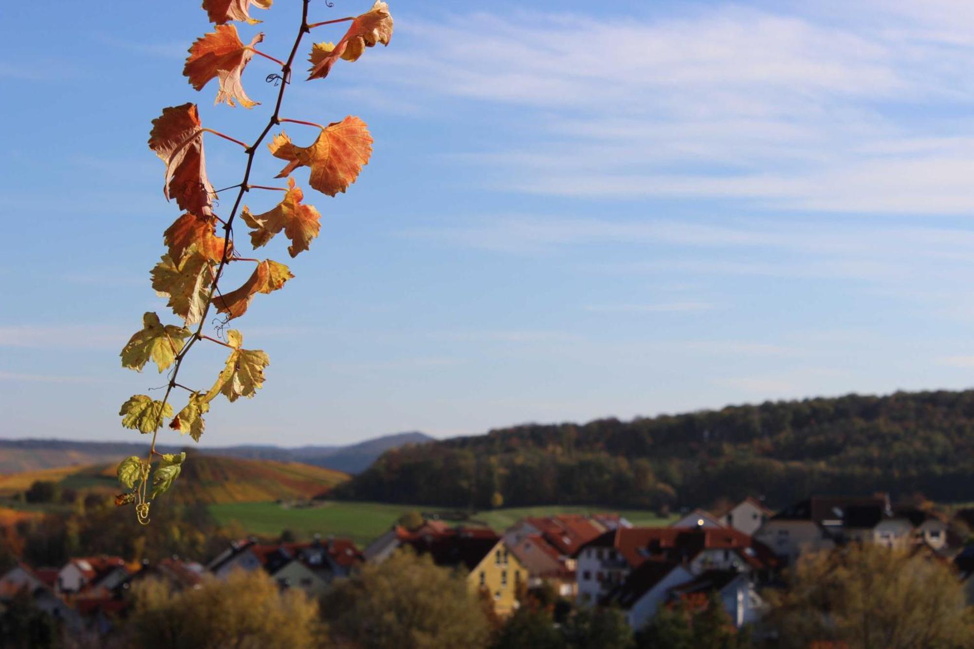 Gaestehaus Zum Wolffenturm Lehrensteinsfeld 외부 사진